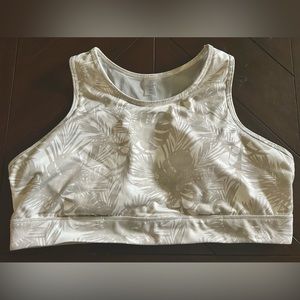 Women’s Alpine XXL Sports Bra